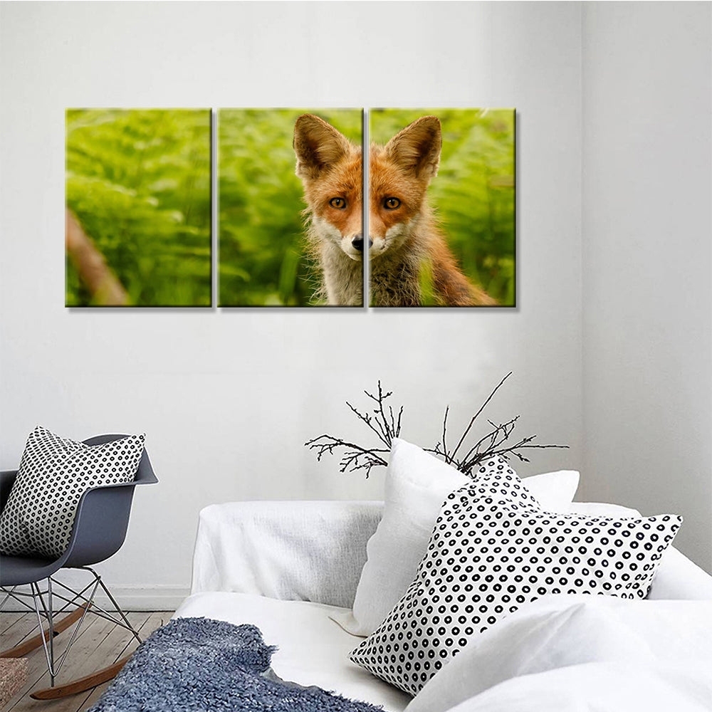 Tableaux de Renard - 3 Pièces - Home sweet - 3, animaux
